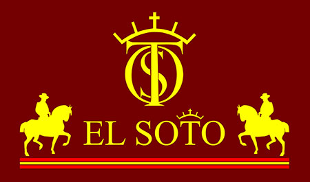 EL SOTO